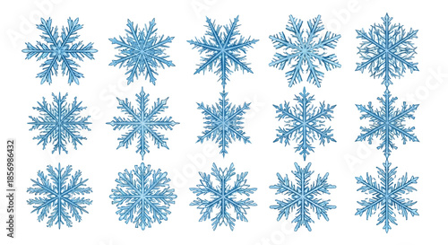 Collection of various blue snowflakes on white background.