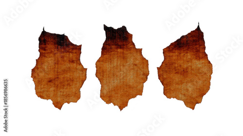 Old paper texture vintage burnt edge isolated brown torn parchment grunge background antique document aged surface rustic distressed blank creative design