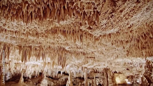 Cave Ceiling Covered in Stalactites