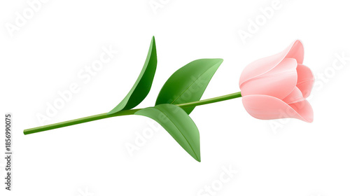 Pink tulip flower with green stem and leaves, isolated on transparent background, symbolizing love, elegance, and spring, perfect for romantic or seasonal design concepts