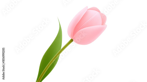 Pink tulip flower with green leaf, isolated on transparency background, elegant and delicate, symbolizing love, spring, and beauty, perfect for romantic or seasonal design