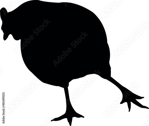 a chicken body silhouette vector