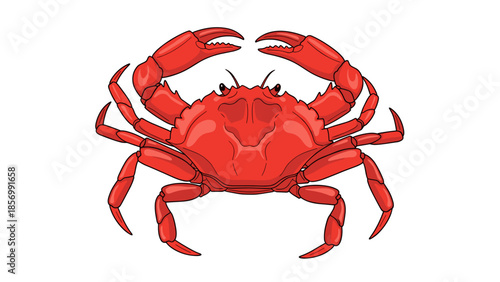 Illustration of a Cartoon Red Crab, Seafood Cuisine & Marine Life Concept - Detailed Vector Graphic Design of a Crustacean, isolated on transparent background for Creative Projects