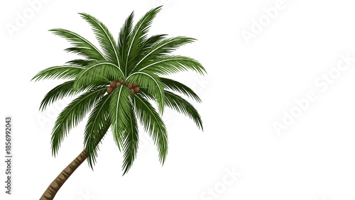 Tropical Palm Tree Vector Illustration: Summer Vacation Vibes, Exotic Island Getaway, isolated on transparent background. Decorative Nature Element for Travel and Leisure.