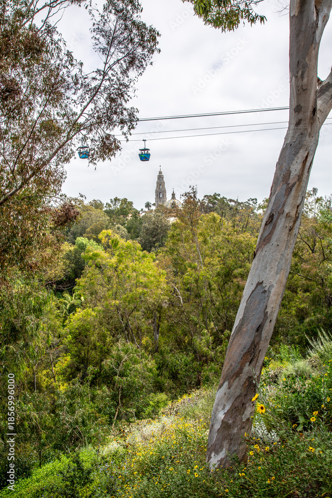 Fototapeta premium Gondola ride across the park