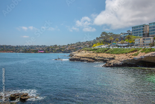 Cliff overlooking the Pacific Ocean in La Jolla Cove