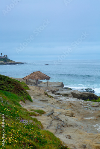 The beach in La Jolla 