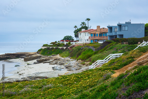 Beautiful houses along the beach in La Jolla 