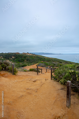 The top of Torrey Pines State Natural Reserve