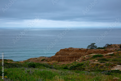 Looking towards the ocean at the Torrey Pines State Natural Reserve