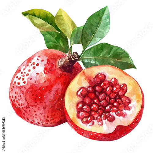 Jaki Fruit, watercolor painting with colorful accents, isolated on a white background.