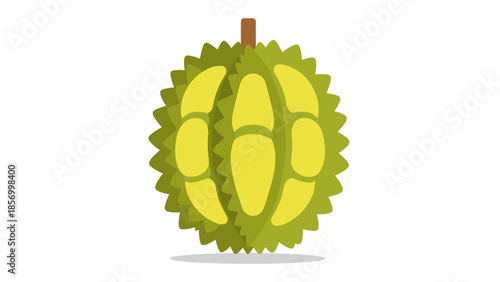 Durian Fruit Illustration with Green Spiky Skin.