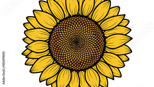 Illustration of a Sunflower with Yellow Petals.