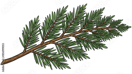 Pine Tree Branch with Green Needles 1.