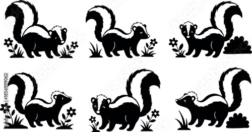 Black and white skunk vector illustration with flowers and grass natural elements 