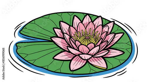 Pink Water Lily on Green Leaf.