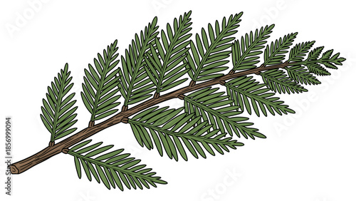 Pine Tree Branch with Green Needles.