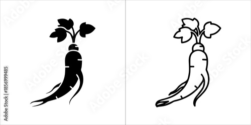 Obraz na płótnie Matching ginseng vector icons with modern line art outline and bold solid silhou