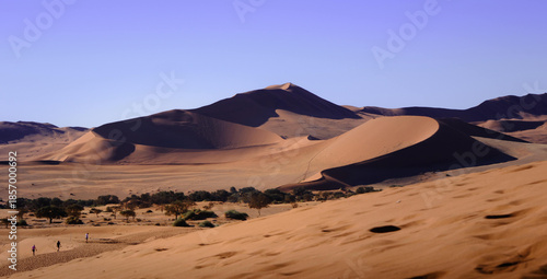 Dunes at the Sossusvlei desert in Namibia, Africa.