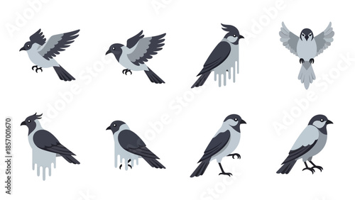 Set of cartoon birds in different poses isolated on white background