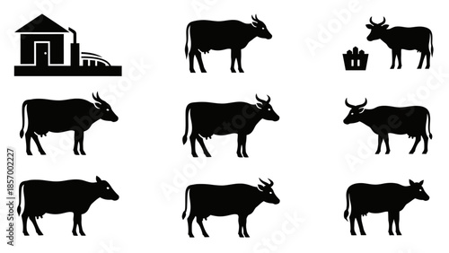 Black cattle silhouettes in various poses near farm building concept