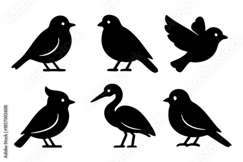 Wallpaper Mural Different birds silhouette icons set simple design Torontodigital.ca