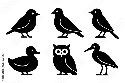 Wallpaper Mural Different birds silhouette icons set simple design Torontodigital.ca