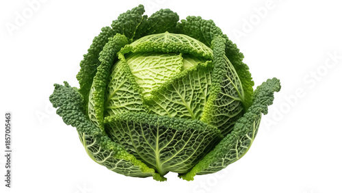 Quadro su tela Fresh green savoy cabbage isolated PNG, healthy vegetable with crinkled leaves o