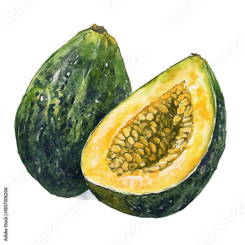 Hala Fruit, watercolor clipart showing delicate textures and whimsical forms, isolated on a white background.