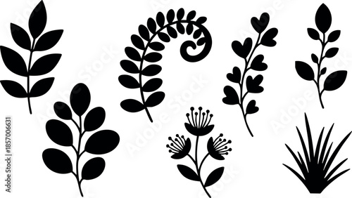 Black silhouette botanical leaves illustration set vector with various leaf shapes and styles 