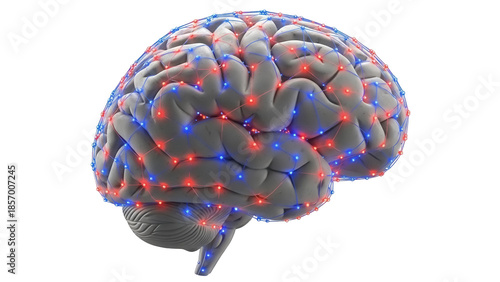 Human brain model with neural network connections isolated PNG, representing artificial intelligence and cognitive function on transparent background