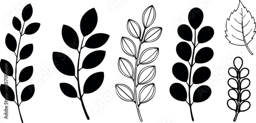 Vector set of black and white simple leaf silhouettes with varied shapes and outlines 