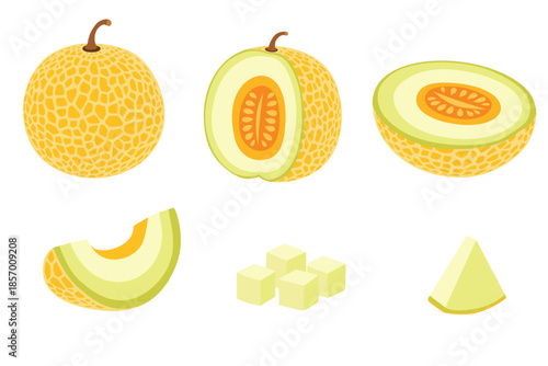 set of Cantaloupe melon, fruit vector illustration 10