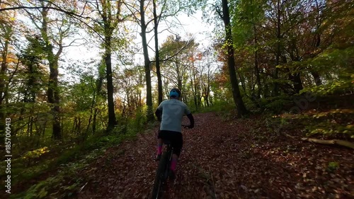 Wallpaper Mural Mountain Biker Rides Through a Beautiful Autumn Forest Path with Golden Sunlight Torontodigital.ca