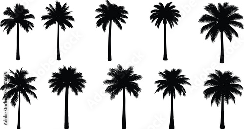Set of tropical palm tree silhouettes exotic coconut plant silhouettes cad drawing flat vector illustration for summer beach landscape design