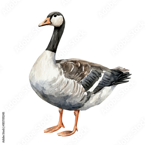 Goose, watercolor illustration featuring soft shadows and luminous, isolated on a white background.