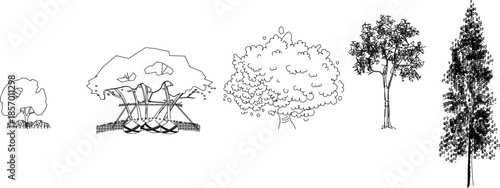 A detailed collection of vector tree drawings in minimalist line style, featuring broadleaf, conifers, and shrubs for architectural site plans.
