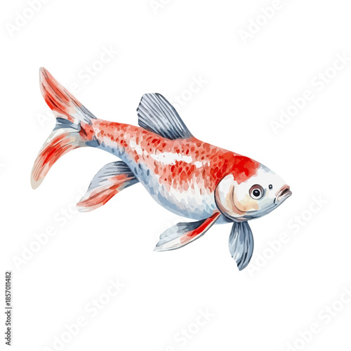 watercolor of Goldfish painting, isolated on a white background.