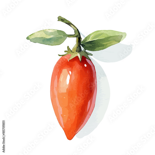 Goji Berry, watercolor vector depicting playful antics, isolated on a white background.