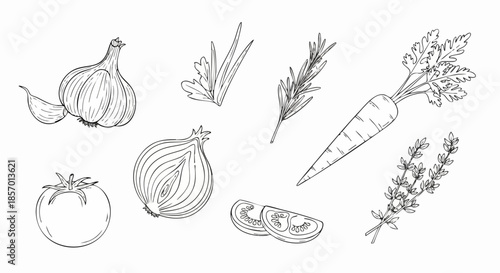 Hand drawn collection of fresh vegetables and herbs sketch.