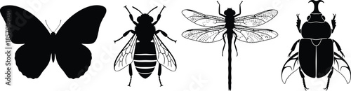 Set of 4 different insect silhouettes butterfly bee dragonfly and beetle top view