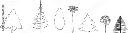 A collection of various vector tree elevations including pine, palm, and deciduous trees for architectural landscaping and site plan sections.