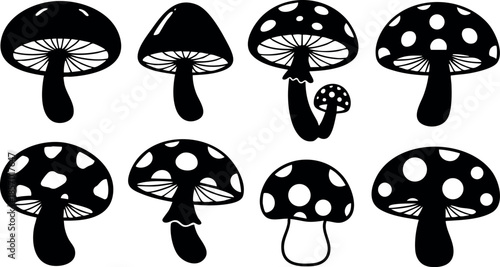 Black and white spotted mushroom vector set with various shapes and sizes natural illustration 