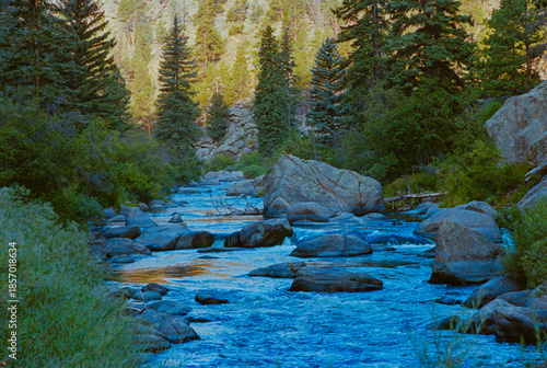 South Platte River in Eleven Mile Canyon