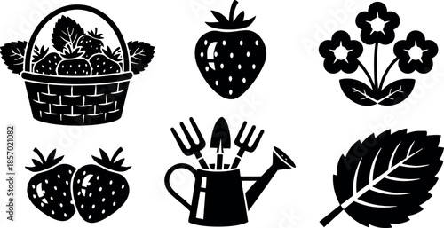 Strawberry basket, single strawberries, flowers, watering can and leaf garden vector illustration black and white 
