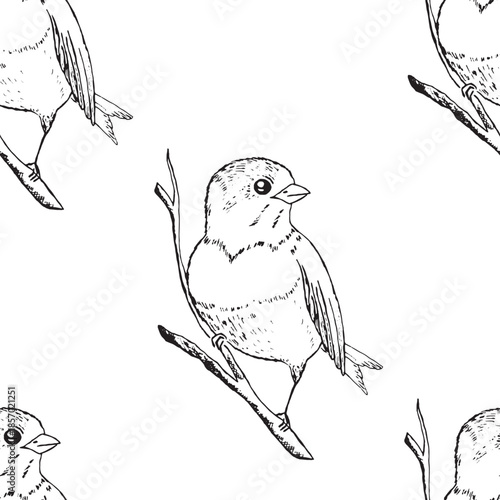 Seamless pattern with funny birds, flowers, leaves. Flat vector illustration with cartoon bird silhouette. Cute characters. Design for invitation, poster, card, textile, fabric.