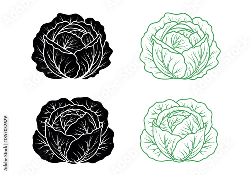 Illustration of cabbage heads in contrasting black and green color schemes shown in silhouette and