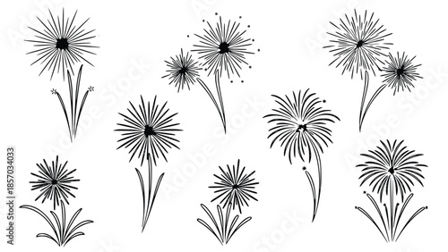 18 Collection of dandelion flowers in various stages of bloom with delicate black lines and minimalist design on a clean white background