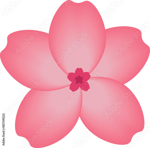 Sakura Flower Illustration Gradient Mesh