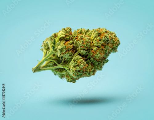 Floating cannabis bud with vibrant green and amber tones isolated on pastel blue background, close-up marijuana flower macro for medical and recreational use concepts